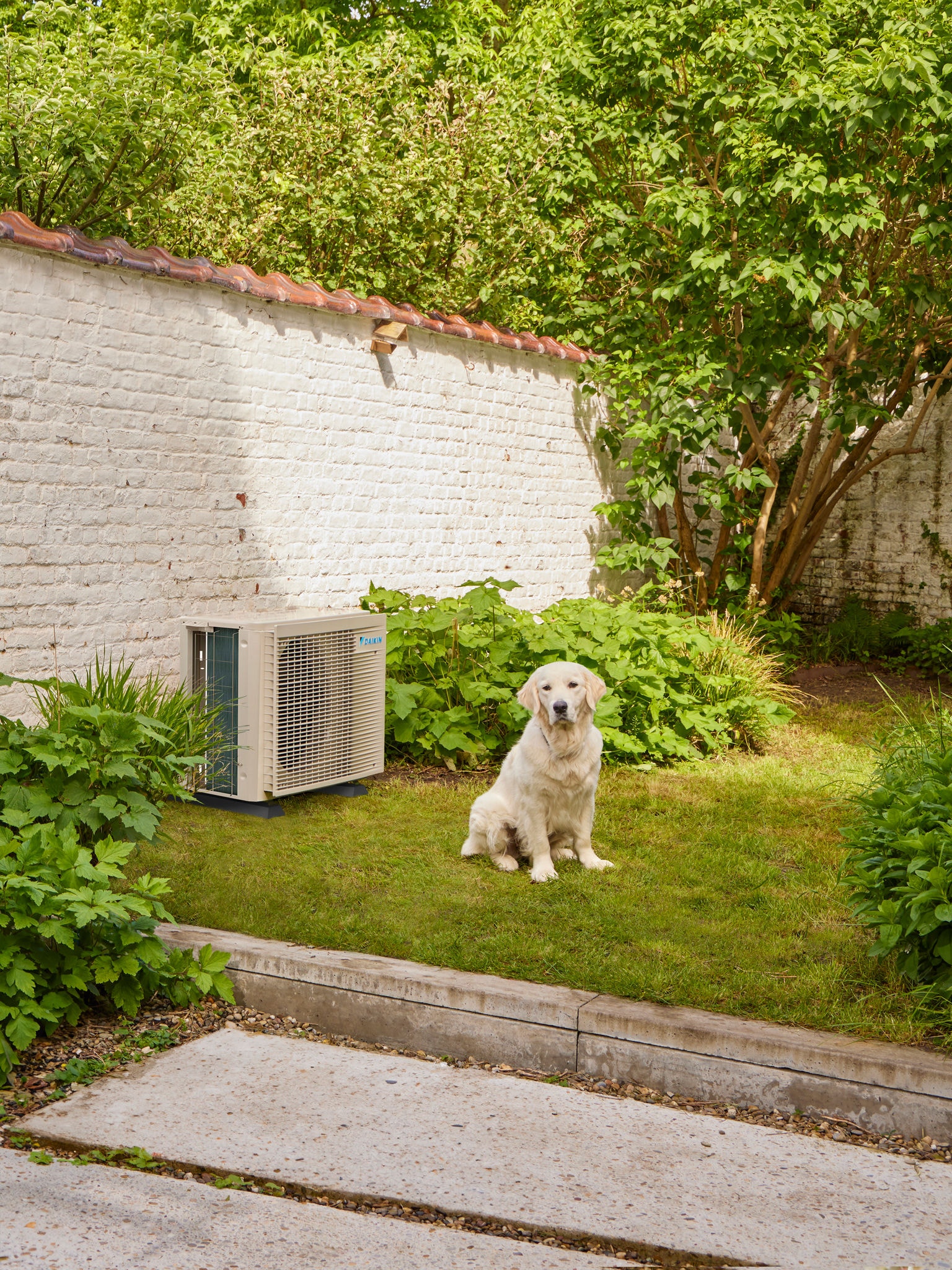 Dog in garden next to Multi Split outdoor unit
