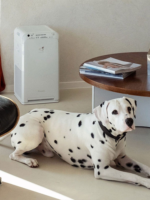 Dog in front of Daikin MC55W Air Purifier