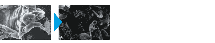 allergens photographed through an electron microscope after being irradiated.